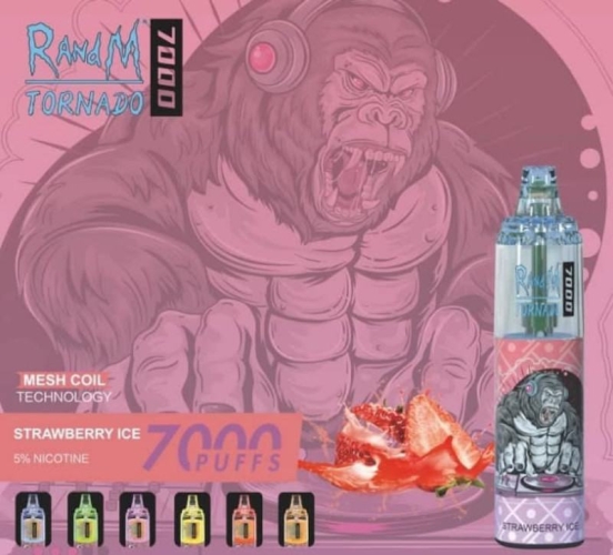 Wholesale Vape Disposables RM Rm Tornado 7000 Puffs