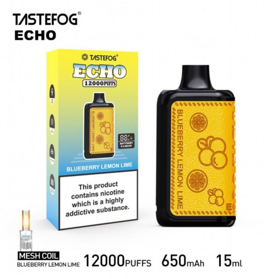 Disposable Vape Pens RandM Echo 12000 Puffs Wholesale