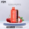YEM Disposable Vapes Bm12s-42bs 12000 Puffs