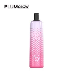 Big Puff Bars Plus Vabeen Vabeen Plum Glow 6000 Puffs Vape