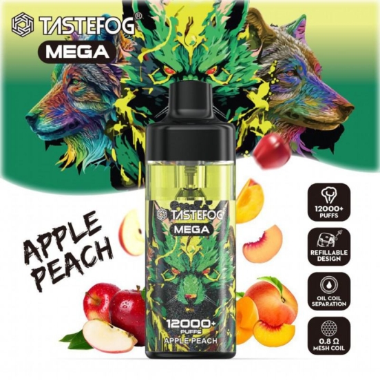 Good Price TASTEFOG/OEM Bar Vape Tastefog Mega