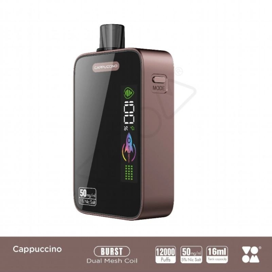 Baish Burst 12000 Wholesale Vape Disposables