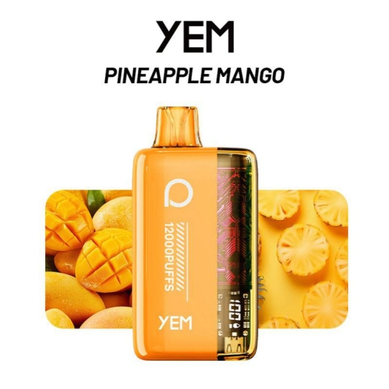 2024's Top Sellers YEM Bm12s-83tz 12000 Puffs Vapes Wholesale