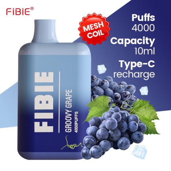 Hot Sale Vape Pens FIBIE Fibie 4000 Puffs Wholesale