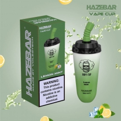 Disposable INSTA Haze Cup 6000 Puffs Vapes