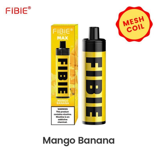 Disposable FIBIE E-cigarette Fibie 4000 Box Nicotine