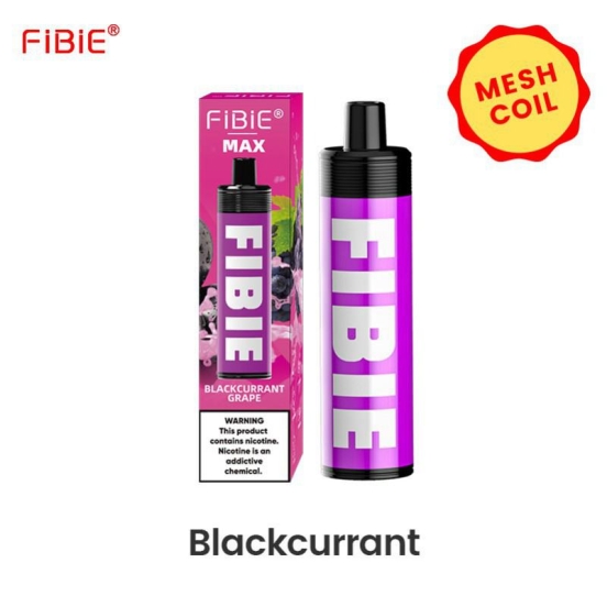 Disposable FIBIE E-cigarette Fibie 4000 Box Nicotine