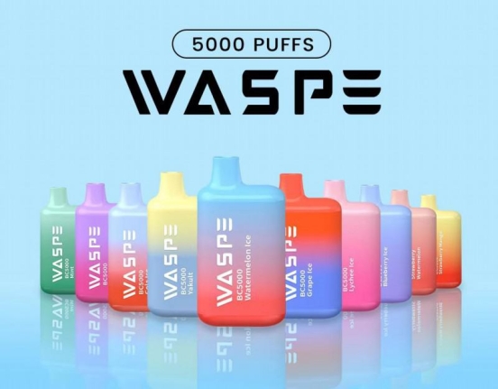 Hot Selling D Waspe 5000 Puffs Vapes