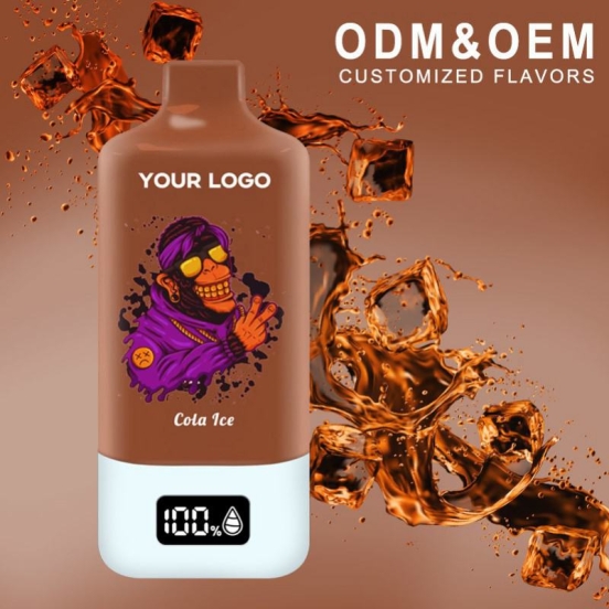 Cheap Pricing Baish Disposable Vape Brands Zbood R69 15000