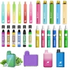 OEM ODM Pen E 600 Puffs