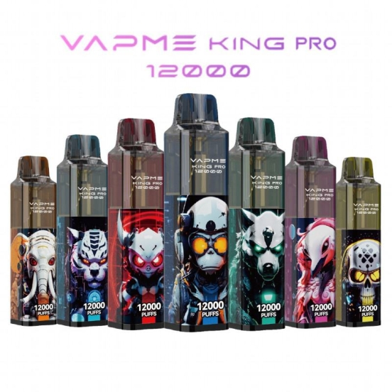 Hot Sale Vapme King Pro 12000 7000 Puffs Vape Big Puff Bar Plus