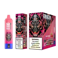 Wholesale Bang Box Bar Vape Pro 20000 Puffs Nederland