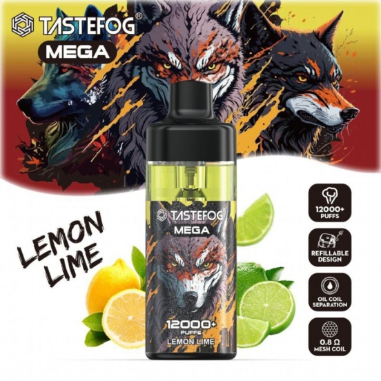 TASTEFOG Tastefog Mega 12000 Puffs Vape Wholesale Price