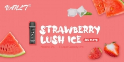 VANLT Vanlt-pod-207 Disposable E-cigarette Puff