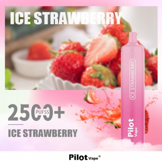 Best Vape Wholesale Disposable Pilot 2500 Vape Pens