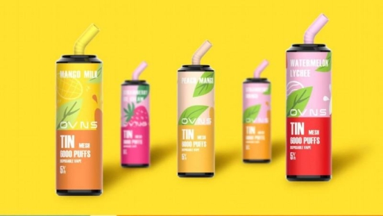 Wholesale Price Disposable OVNS Ovns Tin 6000 Vape Pens