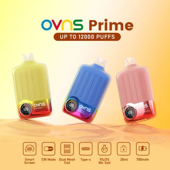 Wholesale OVNS Ovns Prime 16000 Puffs Disposable Vape Pen
