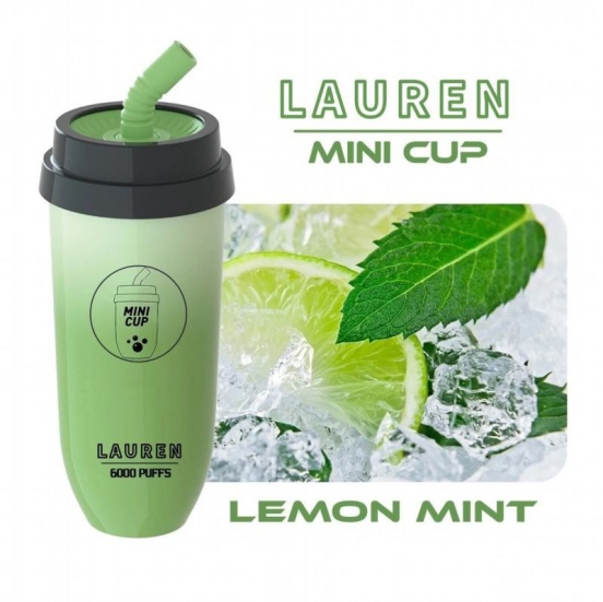 Original customize Disposable Vape Brands Lrec02 6000 Puffs