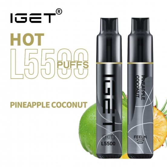 Authentic Disposable Iget 5500 Puffs Vapes Wholesale