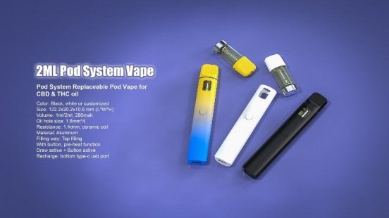  Bv20 Empty Wholesale Vapes
