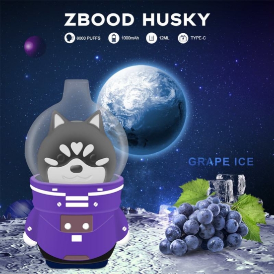 Hot Sale Wholesale Vape Pen Baish Zbood Space Husky 8000 Vapevape7000800 Puffs