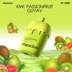 Sfog Vaporsun 10000 Puffs Disposable Smooth Hit Vape
