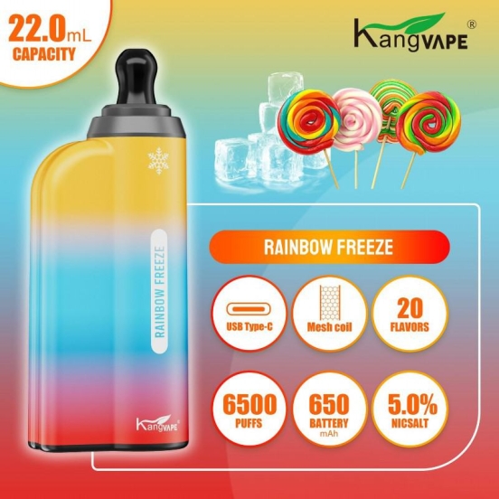 Wholesale Disposable Vape Pen Kang K65