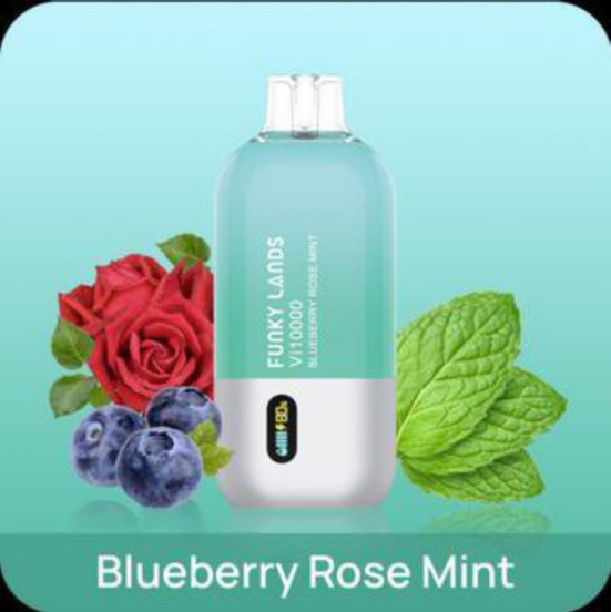 Wholesale Elf Funky lands Vi10000 Elf Vi 10000 Puffs Disposable Vapes