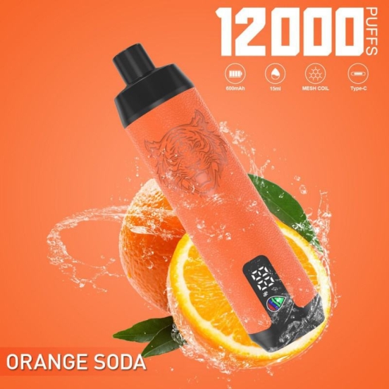 N/M Dtl 12000 Puffs Wholesale Vape