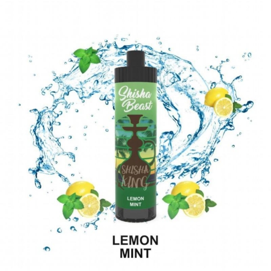 R&M SHISHA BEAST 20000 Big Puff Pen Plus