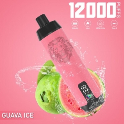 N/M Puff Dtl 12000 Puffs Disposable E-cigarette