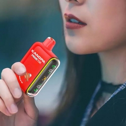 KANGPA 15k Vape Rechargeable
