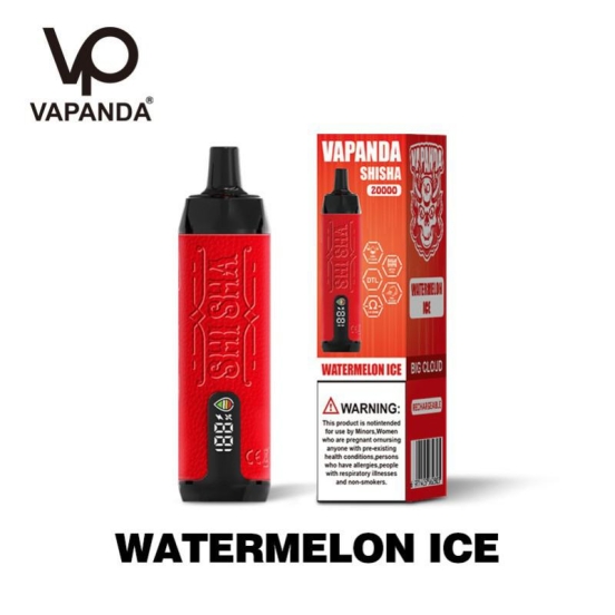 2024 Best Vape Pen Smok Vp Shisha 20000 Puffs Nicotine