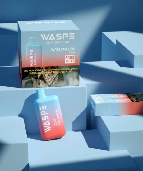 Hot Selling D Waspe 5000 Puffs Vapes