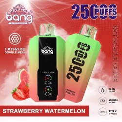 Bang King 25000 LARGE Puffs Nederland Disposable Vape Pro Pen