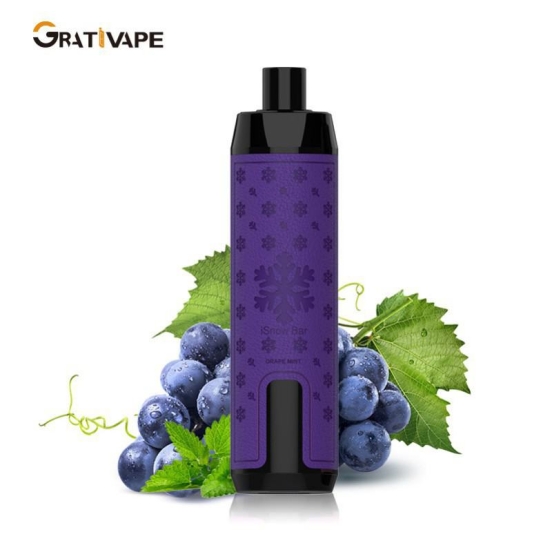 Best Selling Disposable Grati Isnow 16000 12000 Puffs Vape Wholesale