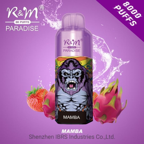 R&M R&m Paradise 8k Wholesale Disposable Vape