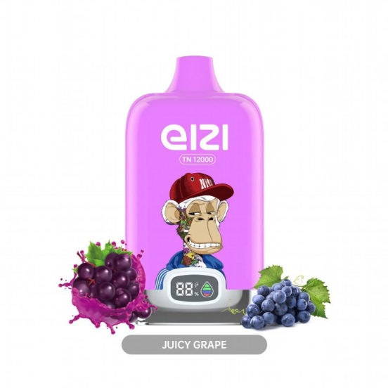 oly Disposable Vape Wholesale Eizi Tn12000