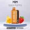 YEM Puff Bm12s-23 Disposable E-cigarette