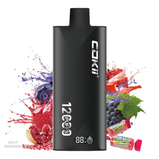 Disposable Cokii Vape Cokii 12000 Puffs Pens Wholesale