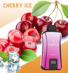 Vaplos Pen S2 15000 Puffs Disposable Vape