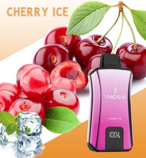 Top-notch Vaping Vaplos S2 15000 Puffs Pen