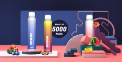 Veiik Micko Lux 5000 Around5000 Puffs Vape Disposables