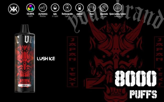 Best Selling Energy Puff Eck Kk 8000 Puffs Disposable E-cigarette
