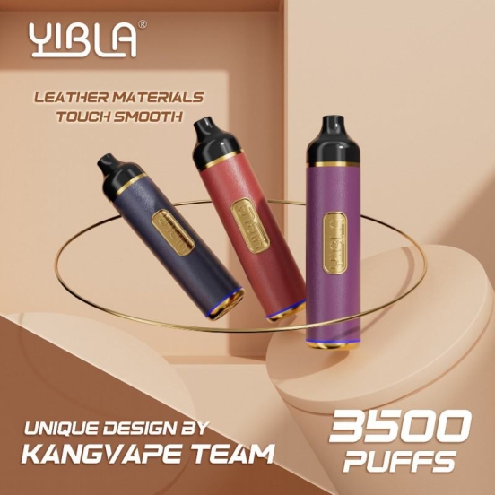 Bulk Price Wholesale Disposable KANG 3500 Vape Pen