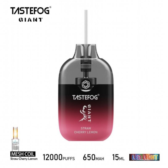 2024 Best Vape Pen Wholesale Evappe Tastefog Giant 12000