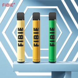 Big Puff Bars Plus FIBIE 800 Puffs Vape