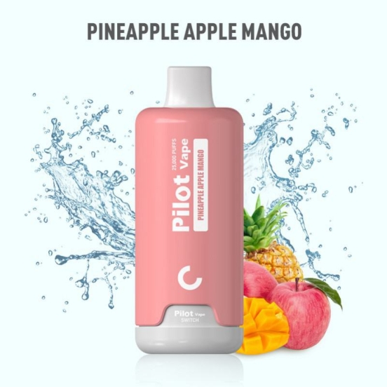 2024 Bulk Pricing Vape Disposable Wholesale CKS Cks 25000