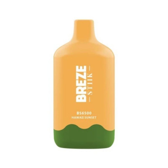 2024 Best Selling Wholesale Price BREZE Breze Bs 6500 Puffs Disposable Vape