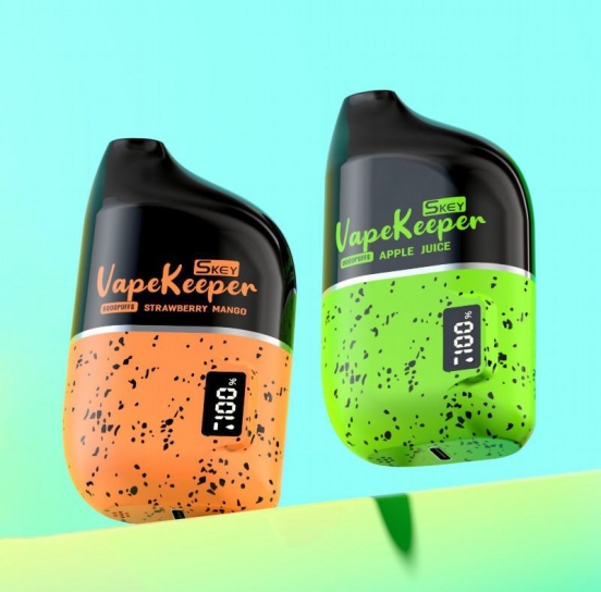 2024's Finest Vaping Skey Keeper Big Hit Disposable Vape